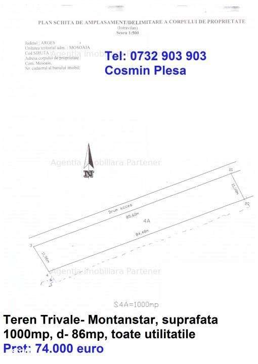 Terenuri Trivale, diverse suprafete, utilitati - Imagine principală: 3/11