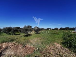 Lote de Moradia - Grande imagem: 4/8