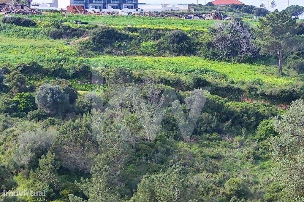 Terreno Carvoeira - Grande imagem: 3/18