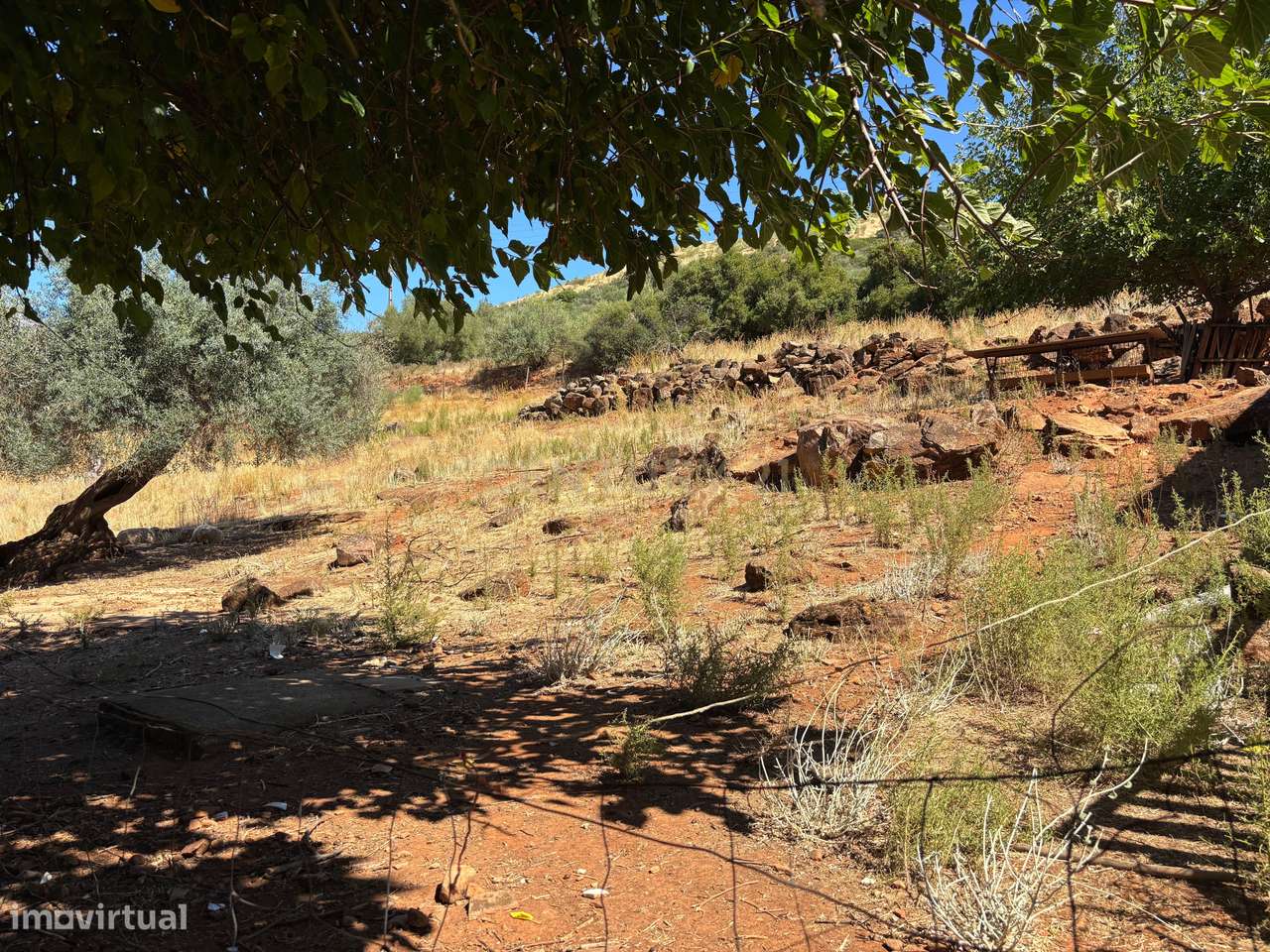 Quintinha com Moradia T2 + Armazém | 2ha vedados | Rio | Fruteiras | A-26