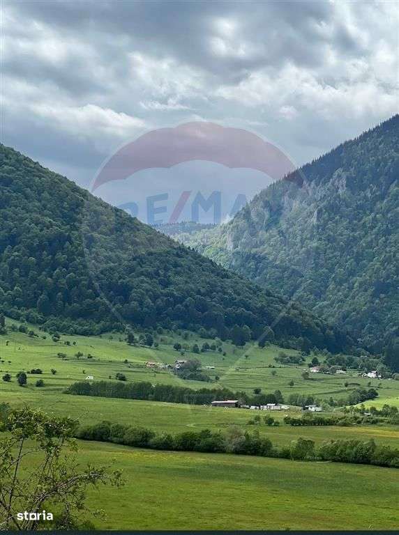 Teren 4,145mp Predelut / Strada Magurii - Imagine principală: 4/9