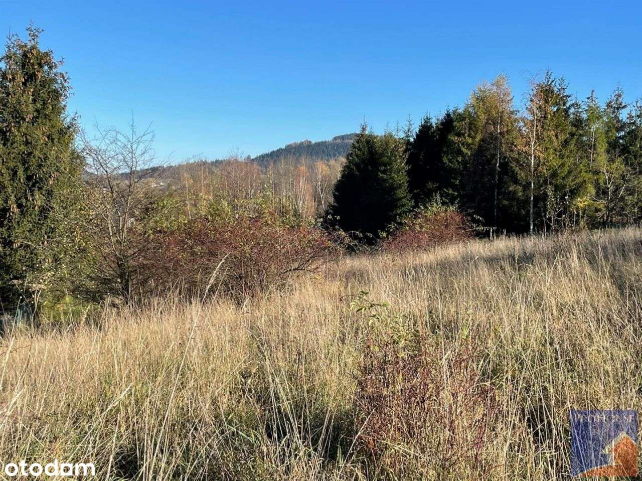 Działka budowlana Stara Wieś Zakopane - Pełny obrazek: 4/19