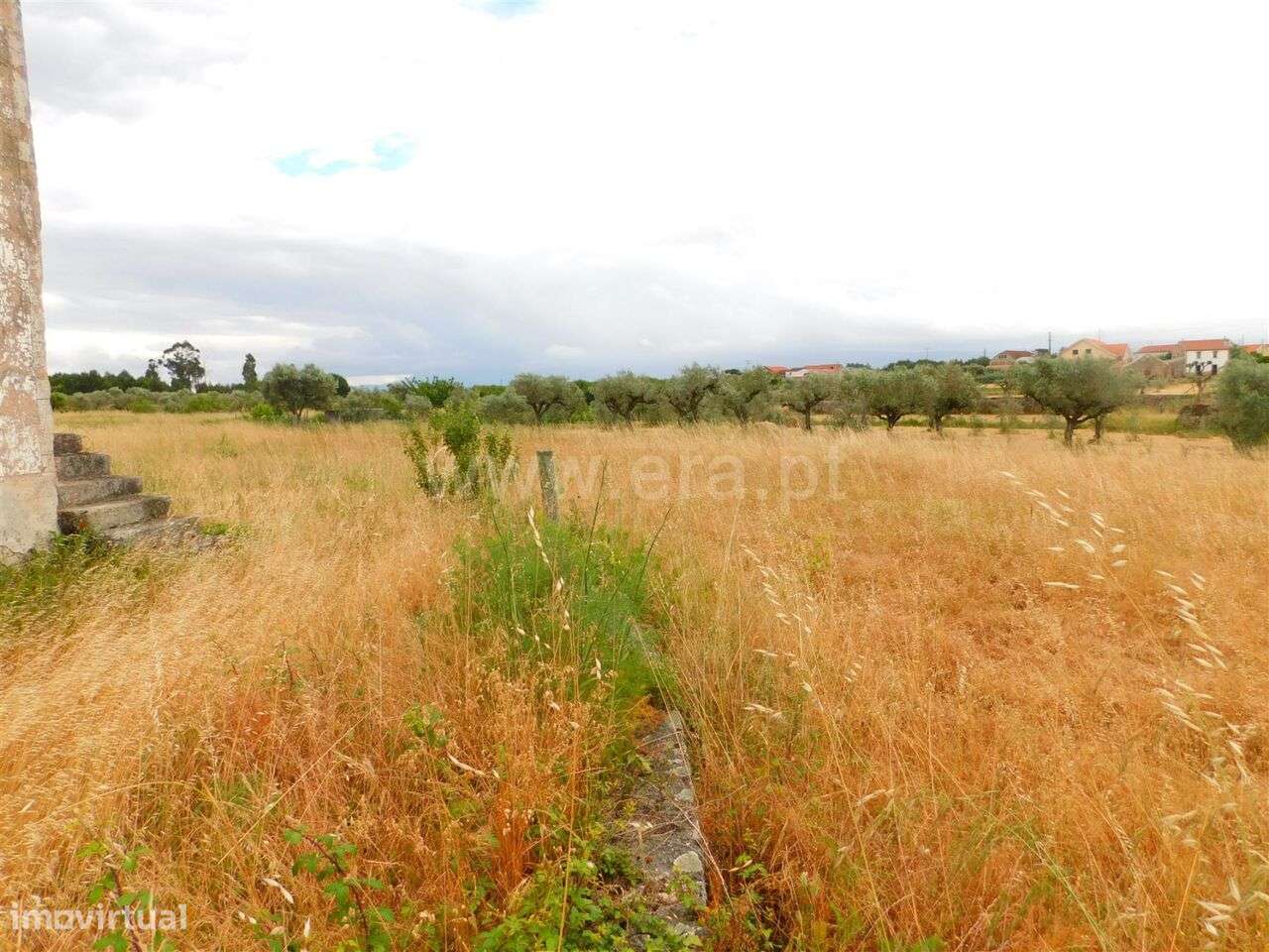 Quinta / Seia, Tourais e Lajes - Grande imagem: 4/12