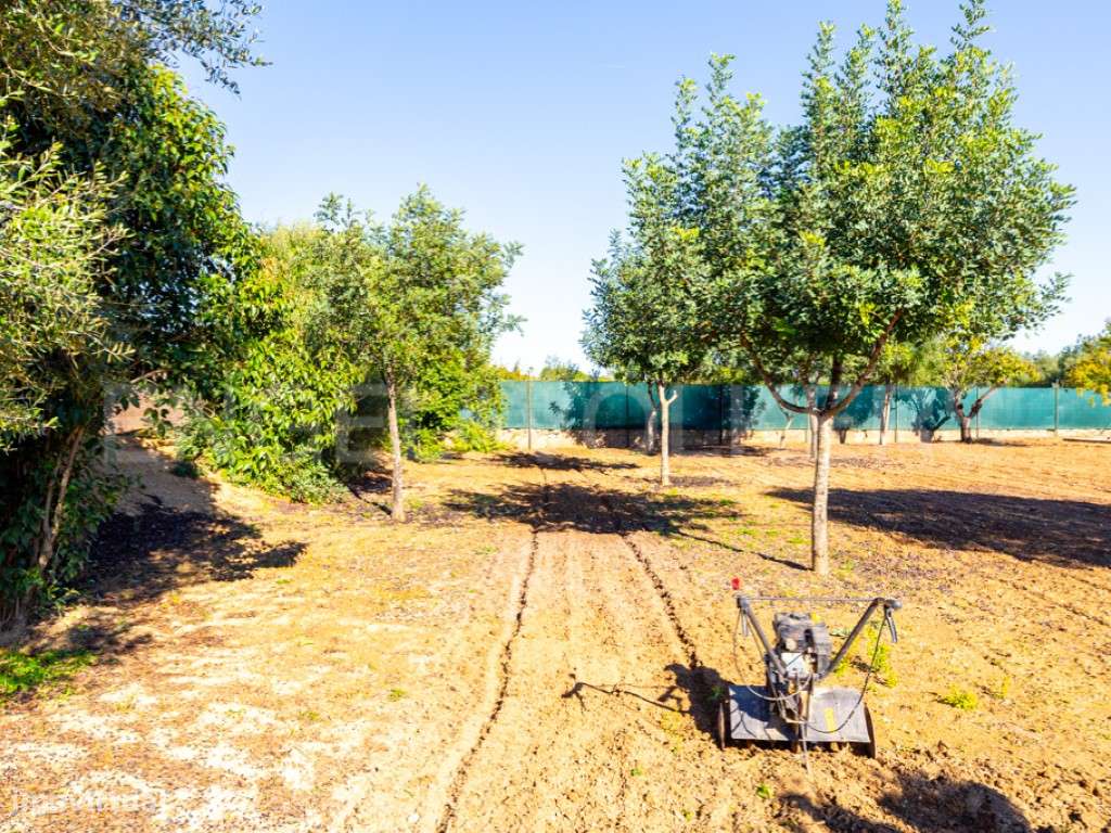 Casa Típica Privada T2 com jardim em Moncarapacho-6