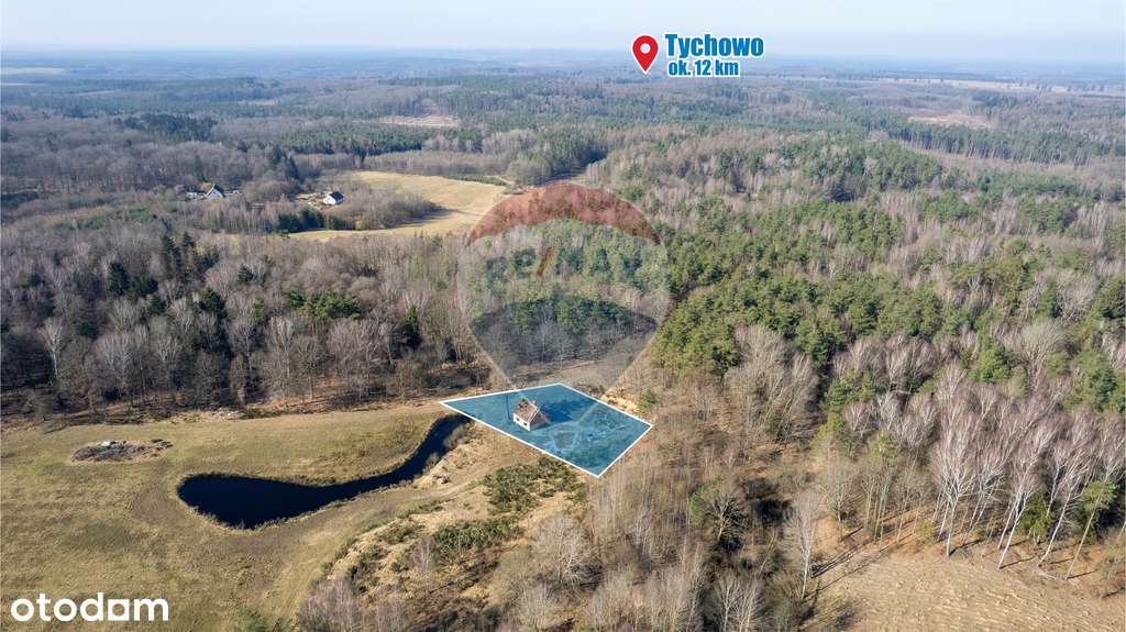 Dom w głębi lasu! - Pełny obrazek: 4/13