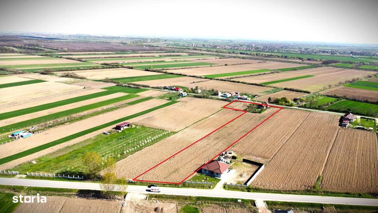 Teren Intravilan-7668mp-Ideal pentru parcelare-6