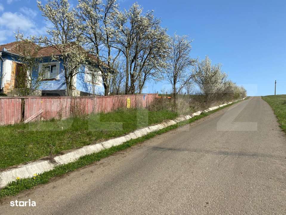 Casa  cu 10000mp de teren in Buza, la 50 km de Cluj-Napoca - Imagine principală: 2/12