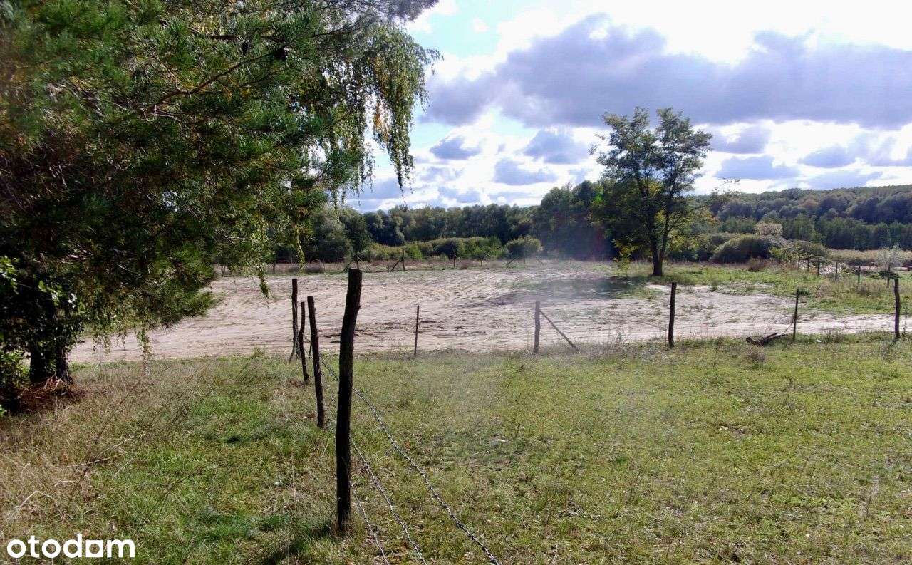 Atrakcyjna działka na skraju lasu media w drodze - Pełny obrazek: 5/8