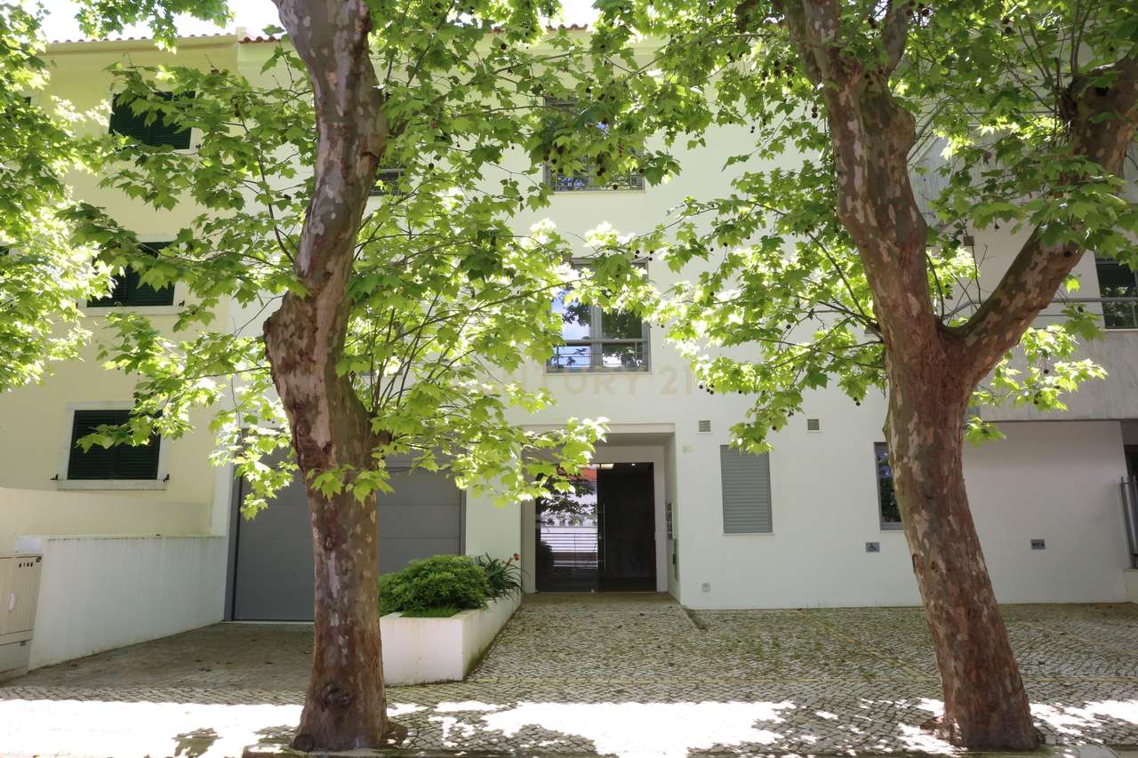 Apartamentos de luxo - Grande imagem: 4/60