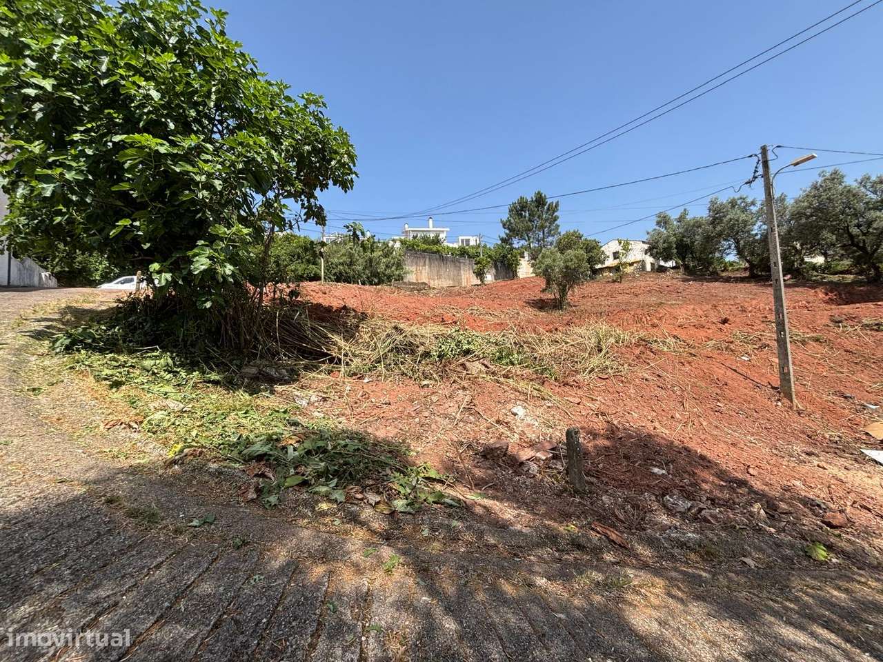 magnifico terreno nos Malheiros para 5 moradias-8