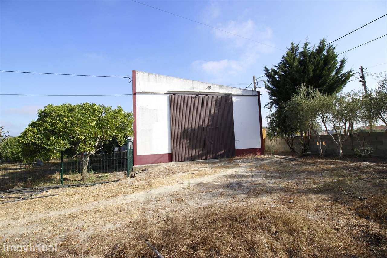 Quinta  Venda em Vendas Novas,Vendas Novas-25