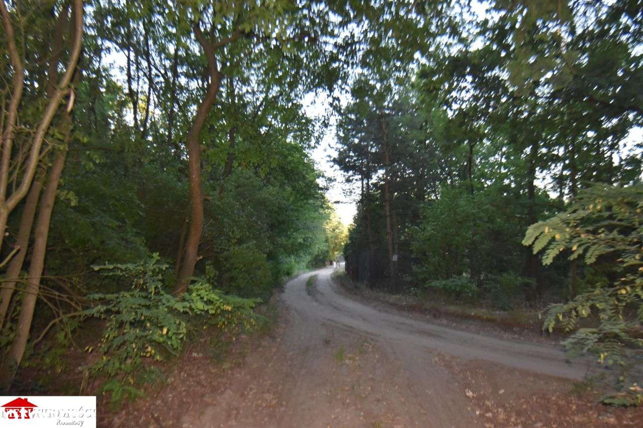 Pod pensjonat w otulinie lasu 37 km od Warszawy-3