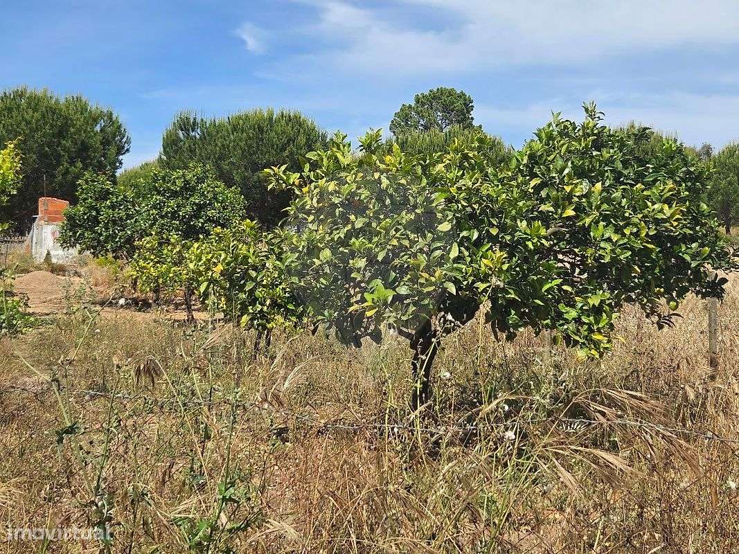 Quinta T3 para venda-1