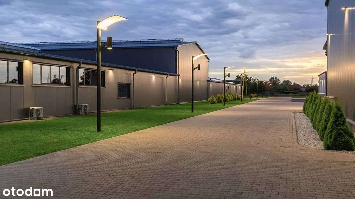 B.wysoki std - produkcja i usługi.-6