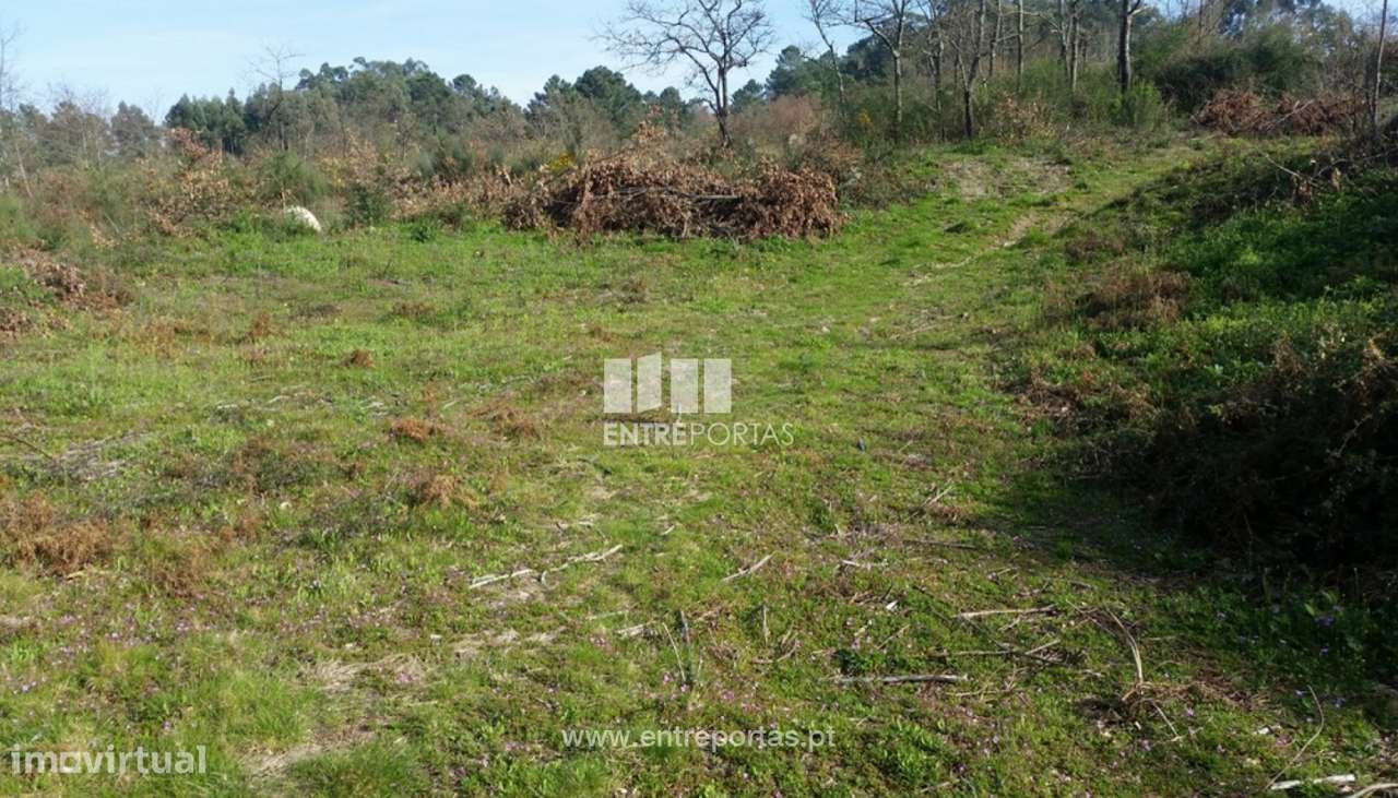 Venda Terreno, Vistas desafogadas, Manhuncelos, Marco de Canaveses - Grande imagem: 4/8