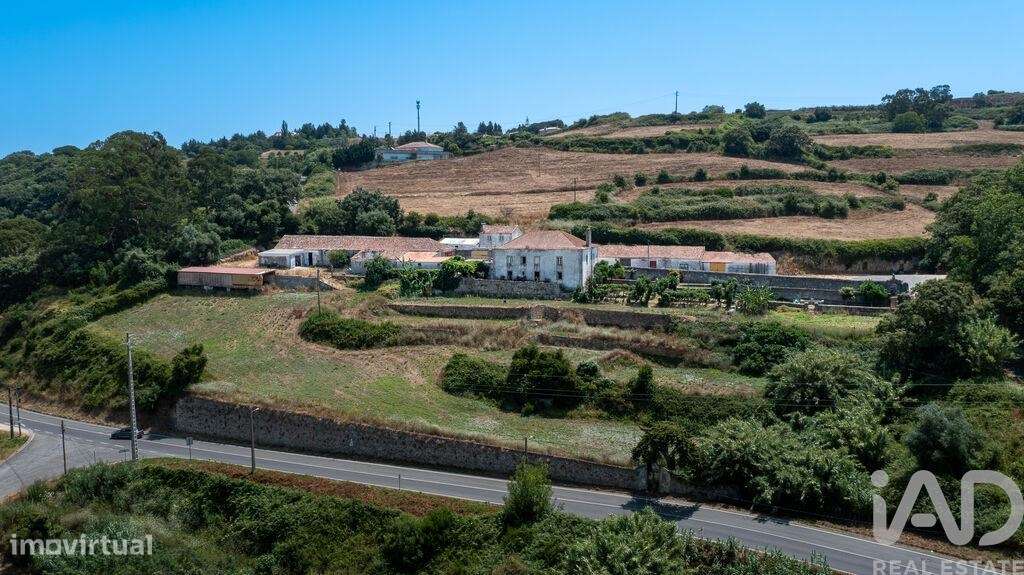 Quinta T7 em Santo Quintino de 825,00 m2 - Grande imagem: 5/30