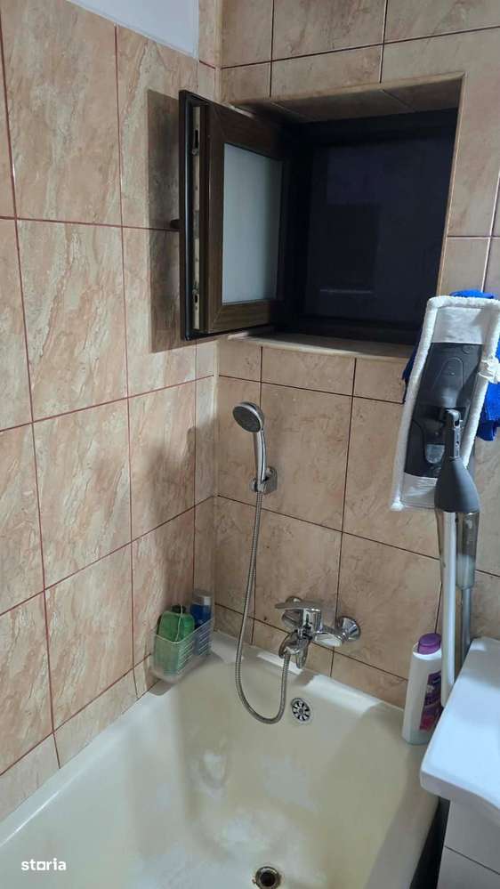 Apartament 3 camere de vanzare Gorjului - Imagine principală: 5/14