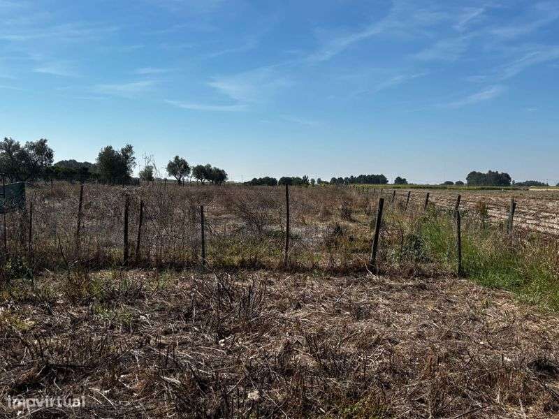 Terreno com 2 casas habitadas - Grande imagem: 5/10