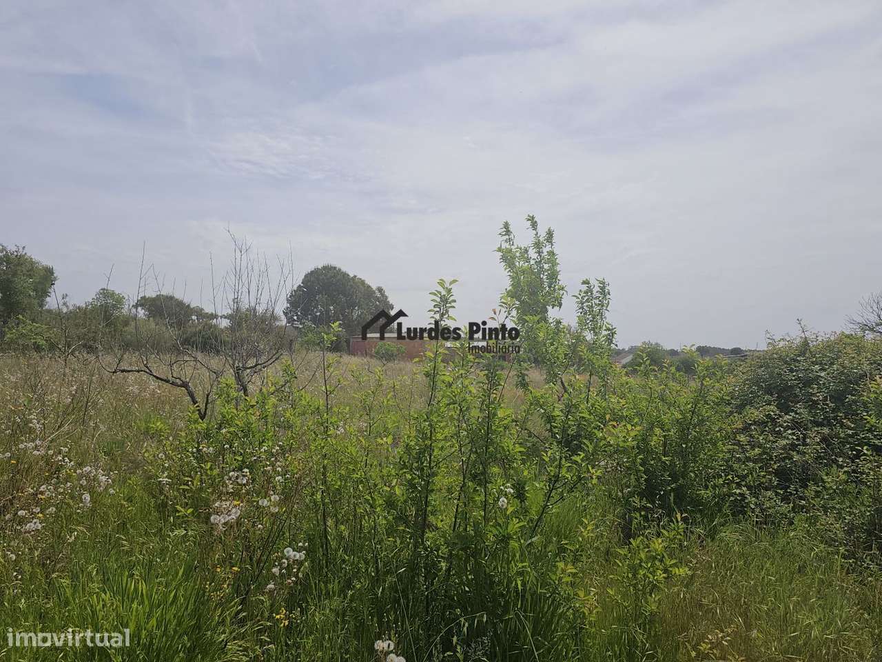 Quinta perto de Castelo Branco-12