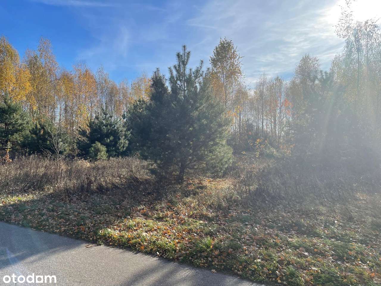 Dz. Budowlane (WZ) Warunki Zabudowy, Iwowe gm Borowie, pow Garwoliński - Pełny obrazek: 5/14