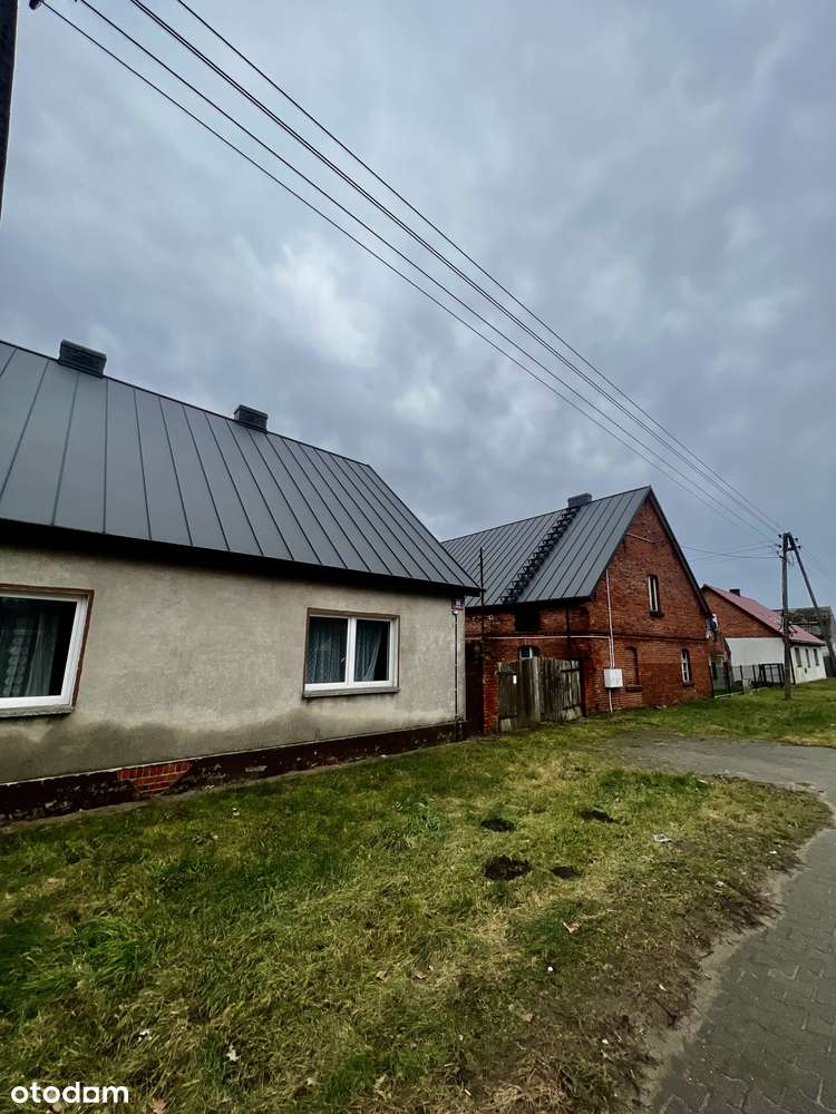 Kwatery pracownicze | Hotel | Agroturystyka Milicz | Las, stawy milick - Pełny obrazek: 5/14