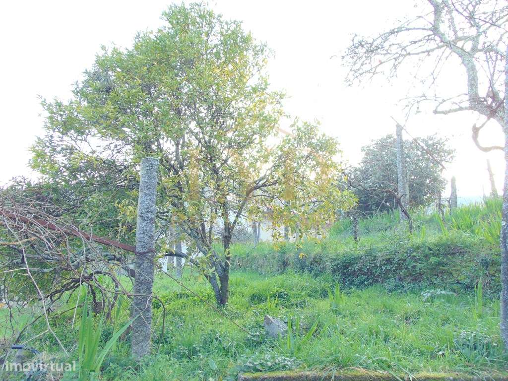 Quinta em Nogueira Paraíso Castelo de Paiva-21