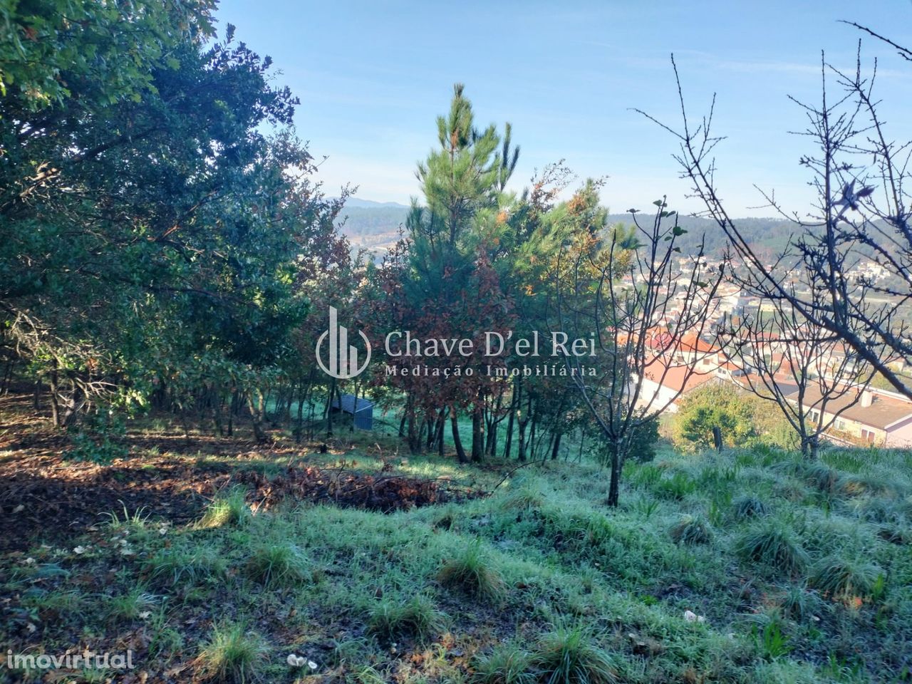 Lote de Terreno  Venda em Orgens,Viseu