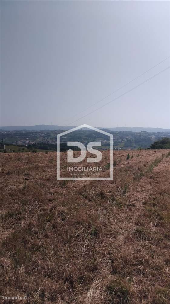Terreno Rústico  Venda em Porto de Mós - São João Baptista e São Pedro - Grande imagem: 4/29