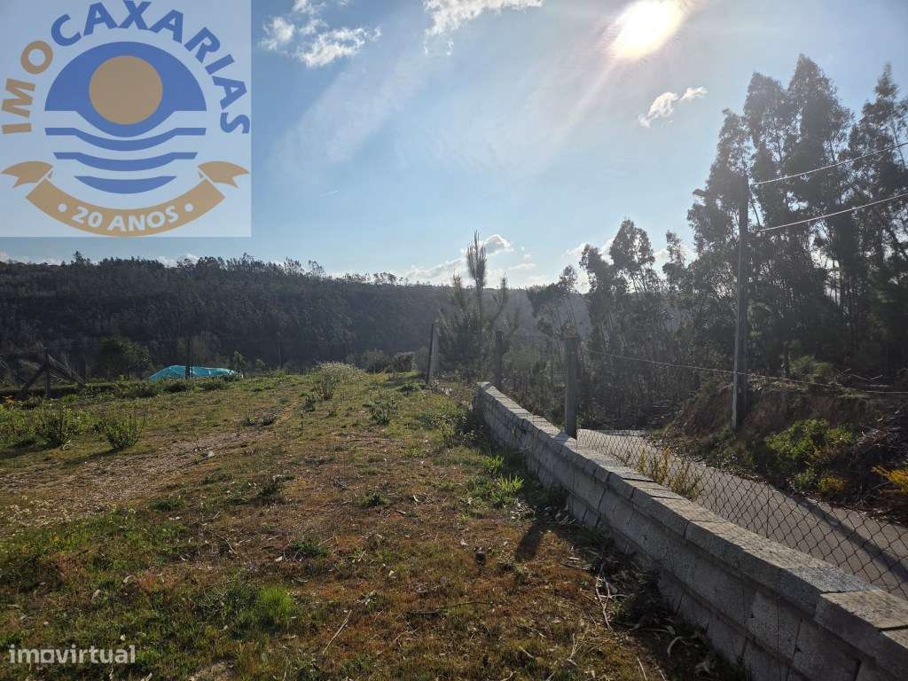 Terreno com barracão agricola - Grande imagem: 4/20