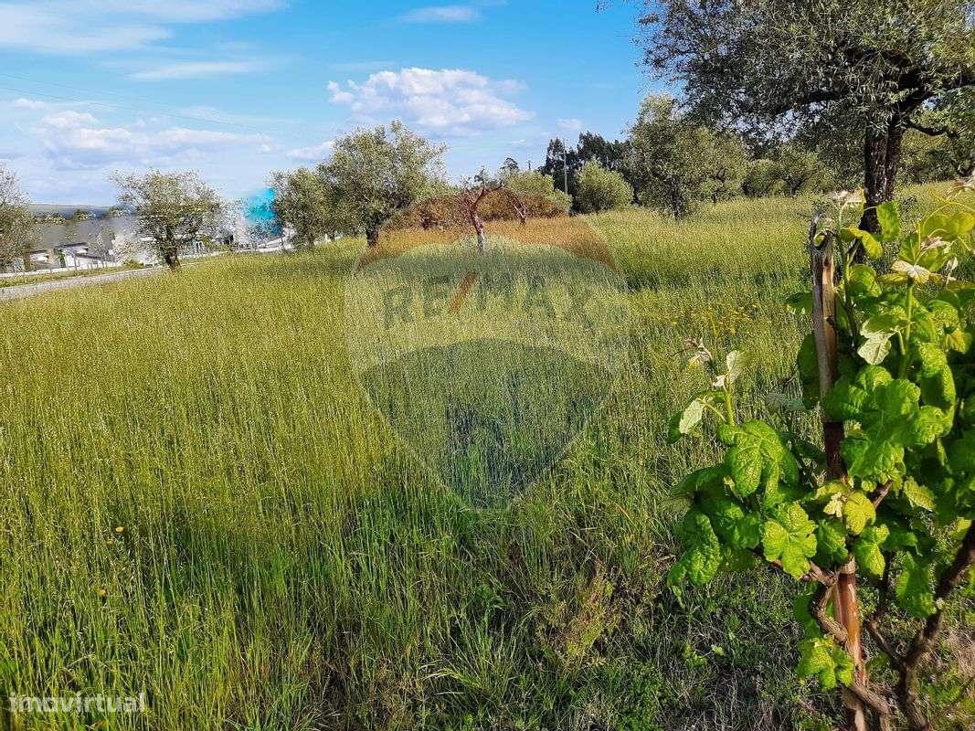 Terreno  para venda - Grande imagem: 3/12