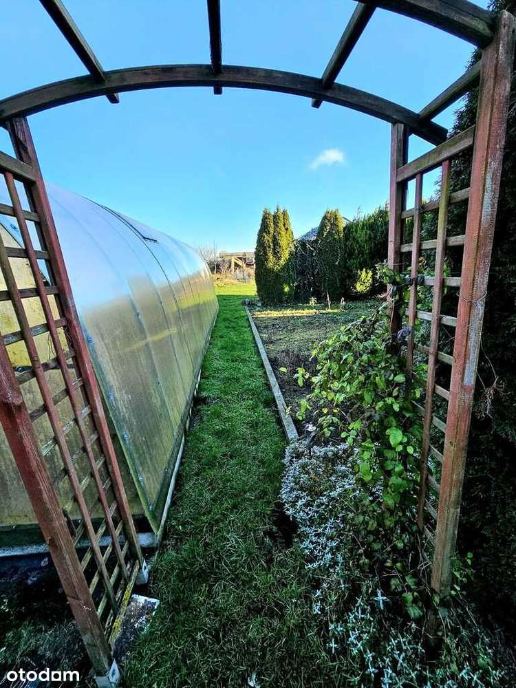 Dom pod samym lasem w Dobrej na dużej działce!-8