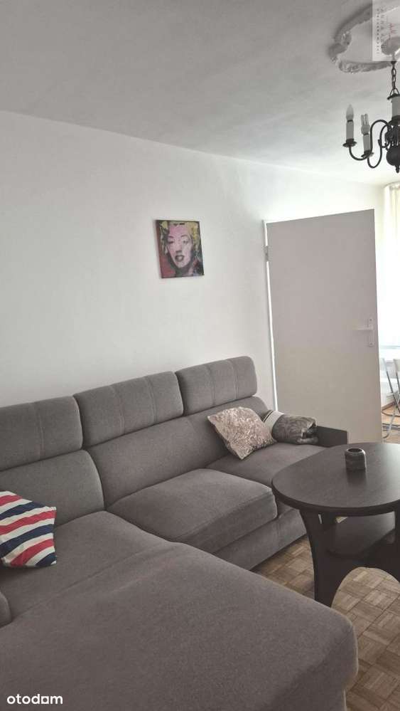 Mieszkanie w samym centrum Wrocławia-Rynek - Pełny obrazek: 2/9