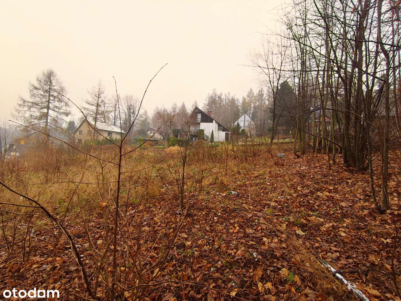 Mała działka budowlana w Górach Opawskich-5