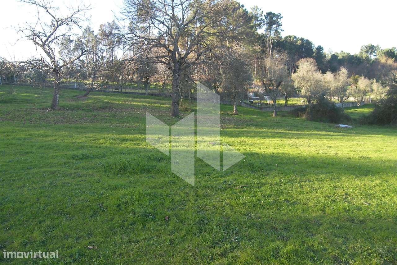 Terreno Para Construção  Venda em São Miguel do Outeiro e Sabugosa,Ton - Grande imagem: 4/11