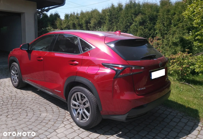 Lexus NX - 4