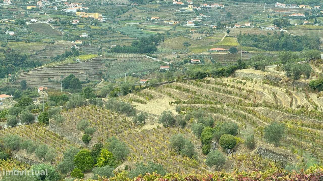 Quinta do Prado em Moura Morta, Régua-0