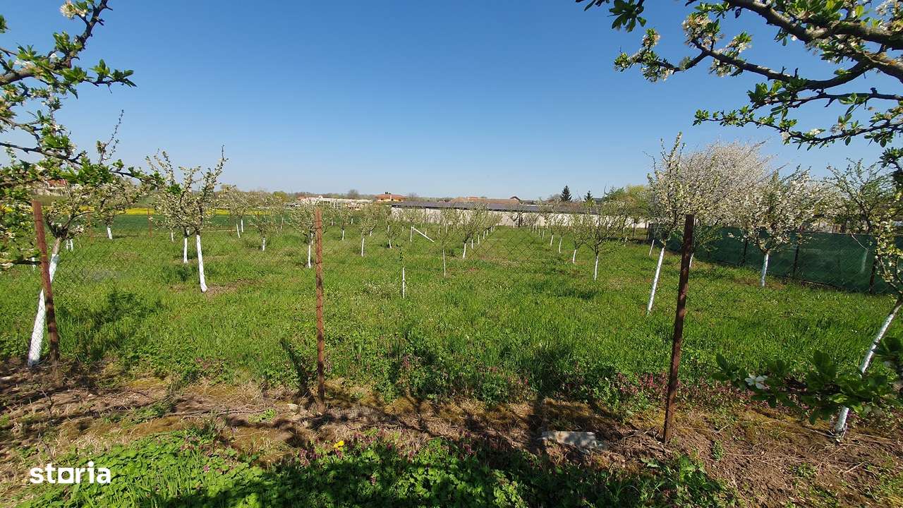 Vand teren in Zadareni - ID : RH-37242-property - Imagine principală: 3/4