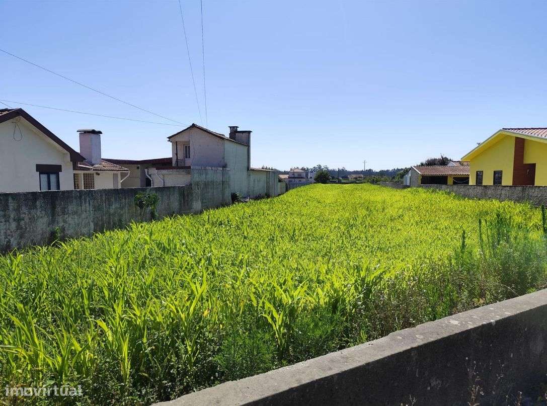 Terreno para construção com poço - Grande imagem: 3/3