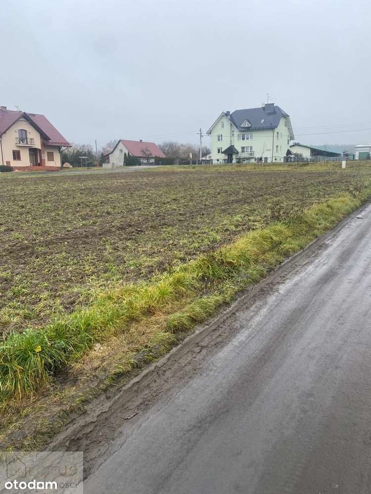 Idealna lokalizacja, idealna przestrzeń - Pełny obrazek: 4/4
