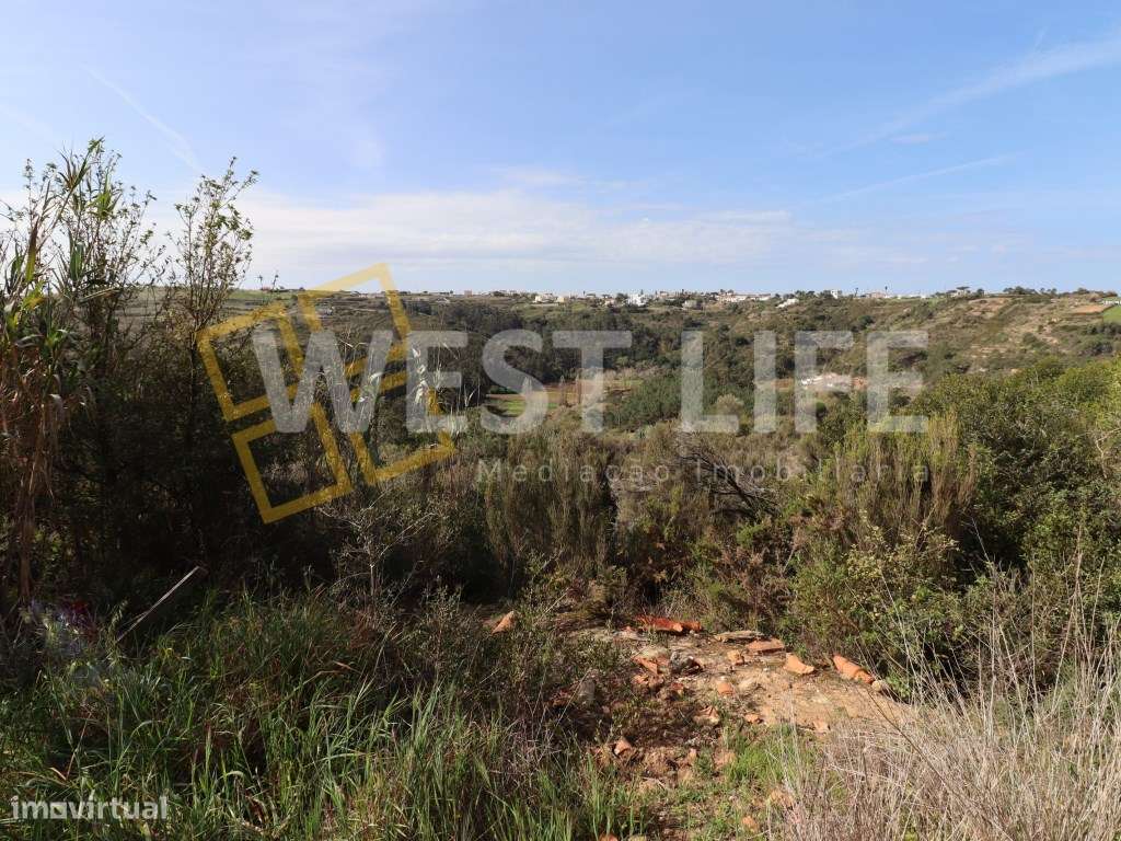 Terreno na Carvoeira - 2 Terrenos Rústicos com um Total de 9187m2 - Grande imagem: 4/12