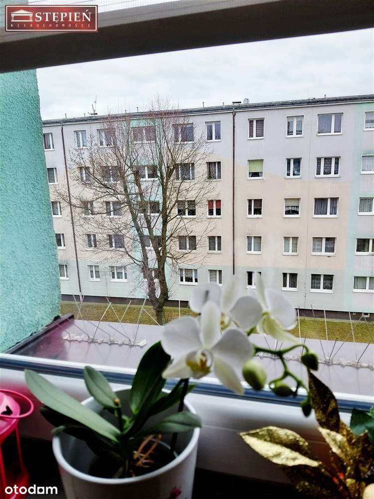 Przytulne mieszkanie na Zabobrzu-8