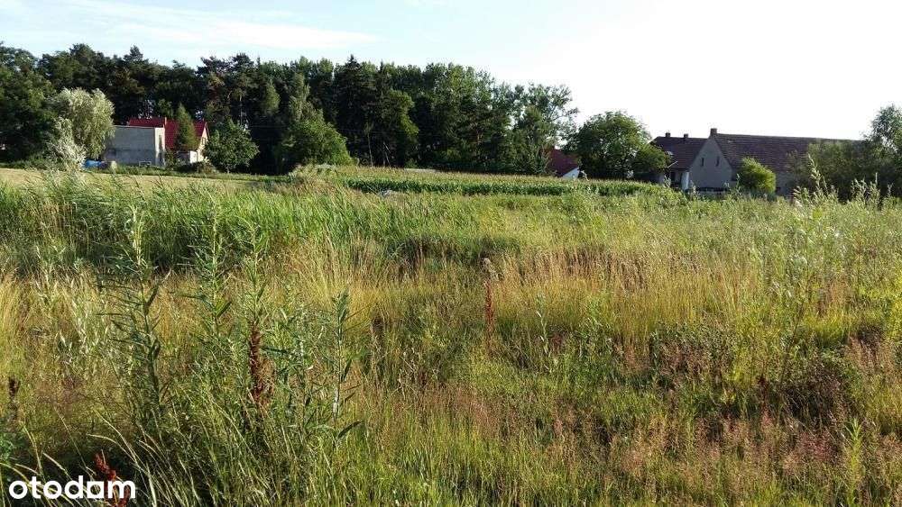 Działki w okolicy Parku - wszystkie media !!! - Pełny obrazek: 4/5