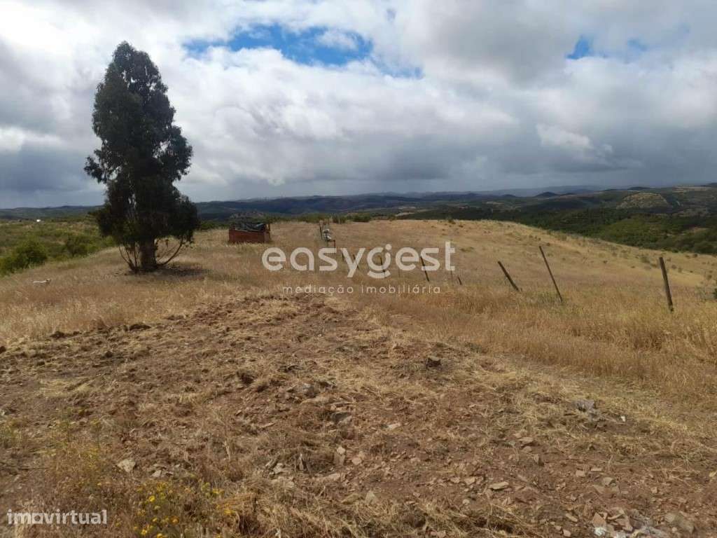 Monte para recuperar localizado na freguesia de Martim Longo - Grande imagem: 3/46