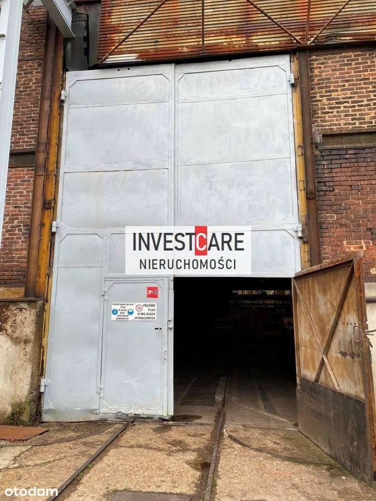 Hala/Magazyn, 4 900 m², Wyry-5