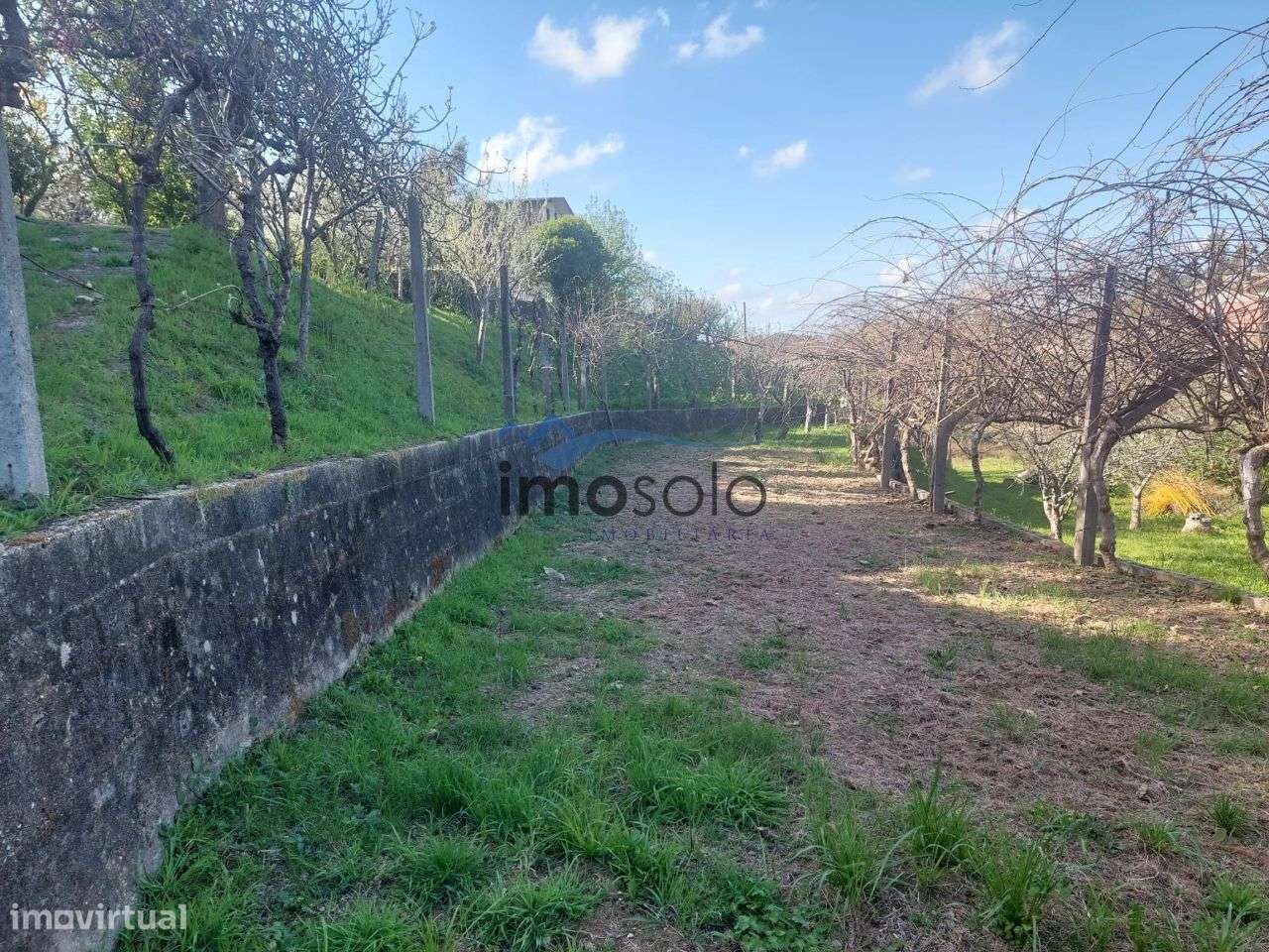 Quinta T4 em Travanca, Oliveira de Azeméis-20