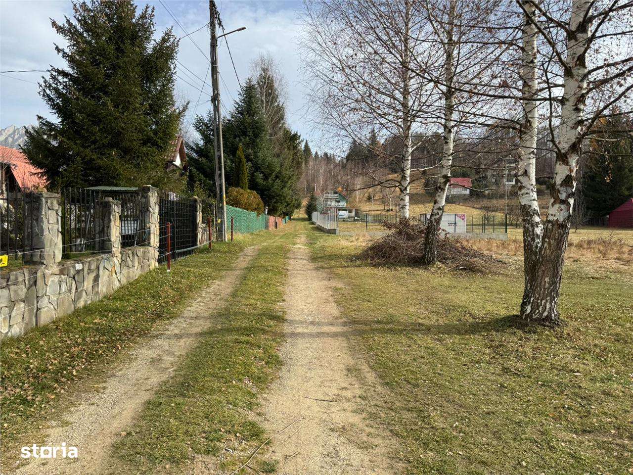 Teren de vanzare 1000 m2 Cheia - Imagine principală: 5/6