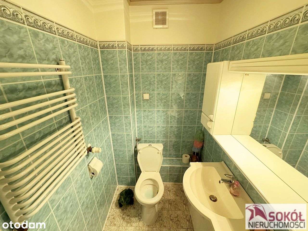 Dom, 280 m², Szczecin-14