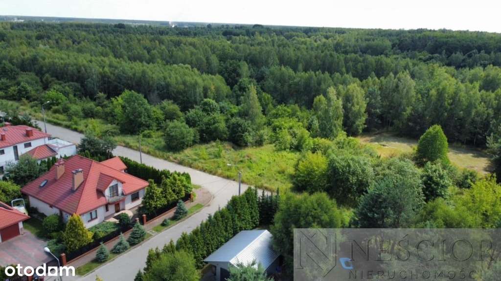 441/7364/OGS - Pełny obrazek: 4/11