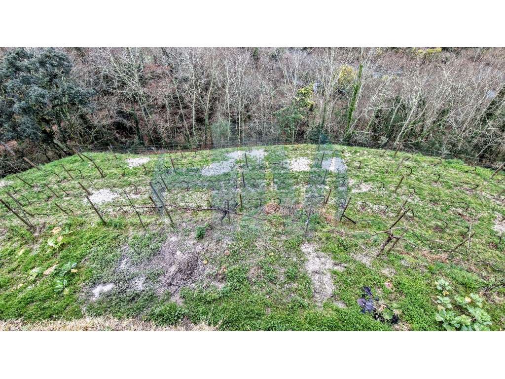 Moradia T5 sobre o Rio Tâmega - Amarante (Fridão)-44