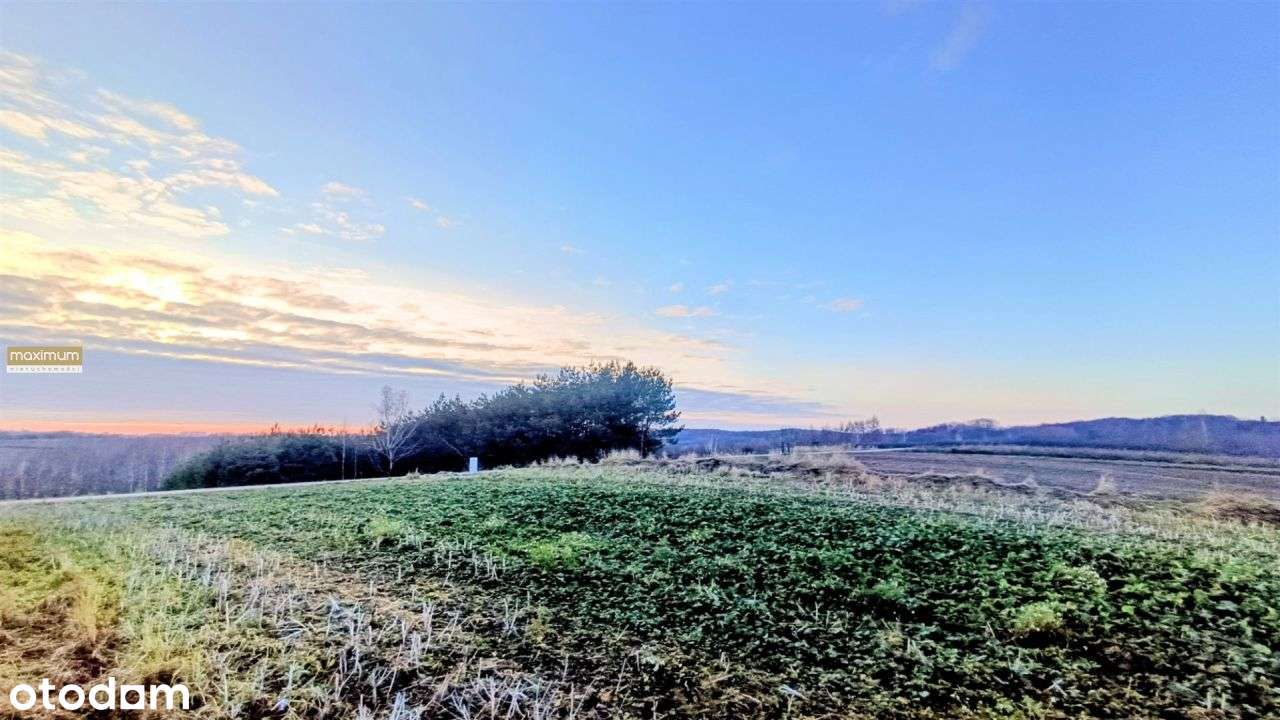 Działka budowlana na wzgórzu |16 i 77 ar|Roztocze-11